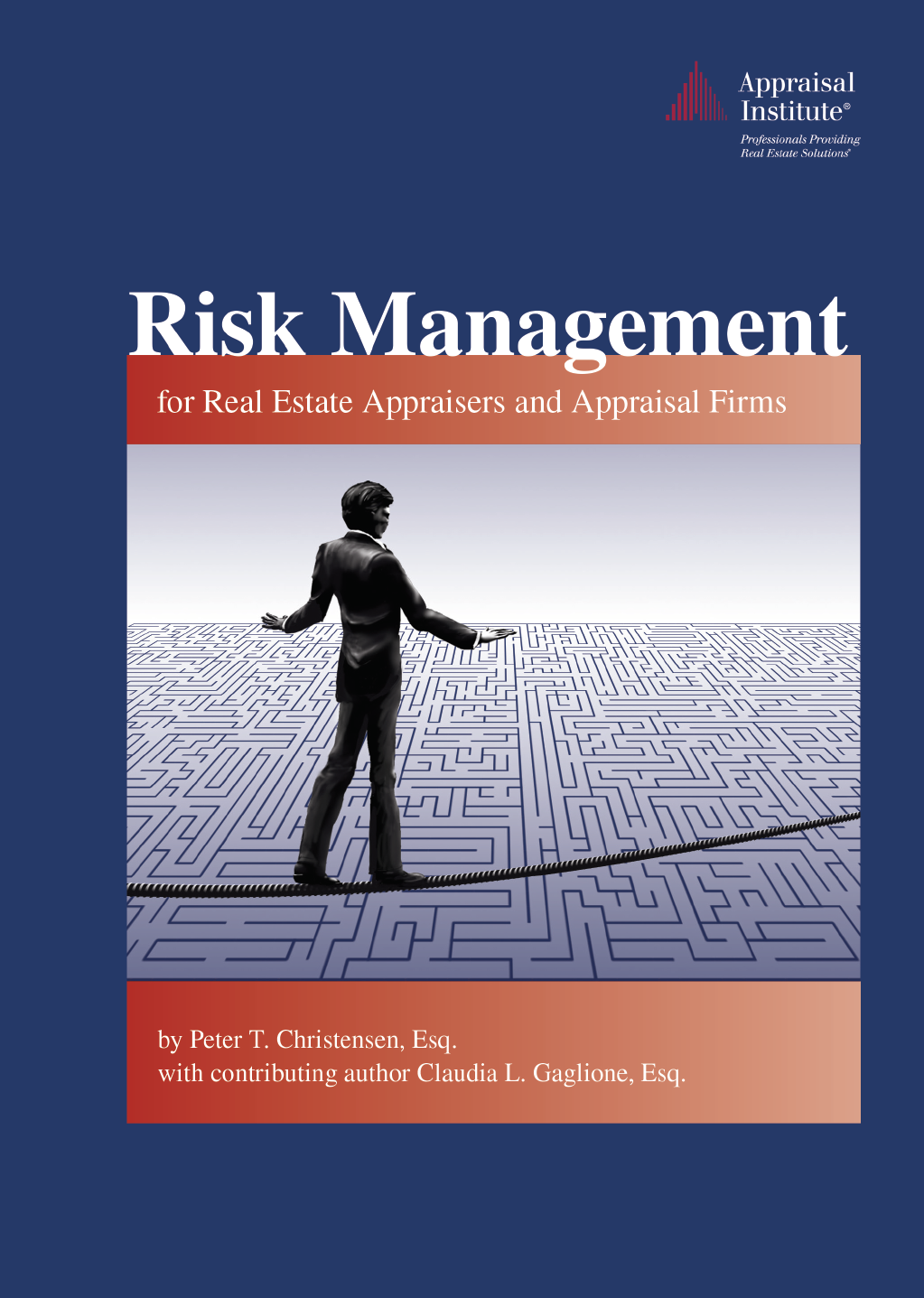 Risk Management Book Cover